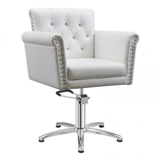 Парикмахерское кресло DIR Lion II