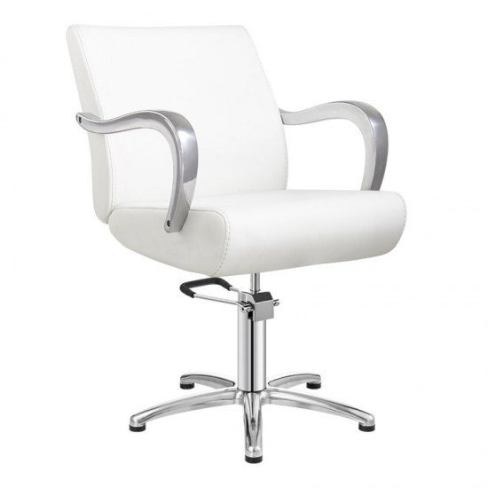 Парикмахерское кресло DIR Meteor