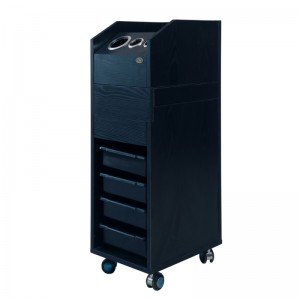 Frizētavas ratiņi DIR Passage