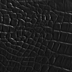 Black Alligator 49